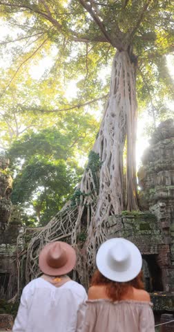 A couple walks hand in hand towards the massive tree roots covering Ta Prohm temple ruins at Angkor Wat, Cambodia. Perfect cultural travel footage for documentaries, eco tourism, and adventure promos.