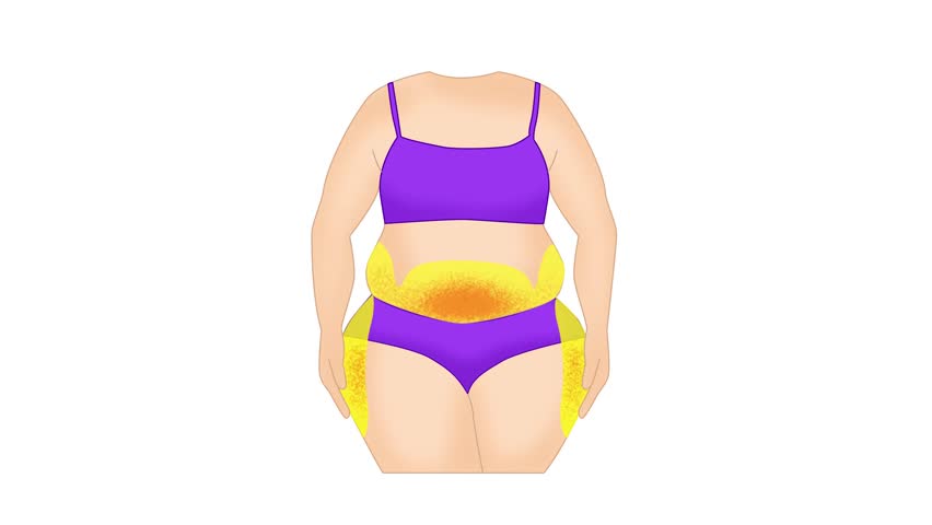 Comparison of weight loss results. 2d animation of Woman's body transformation before and after doing Exercise to lose belly fat and saddlebags fat. white background compatible with background remover