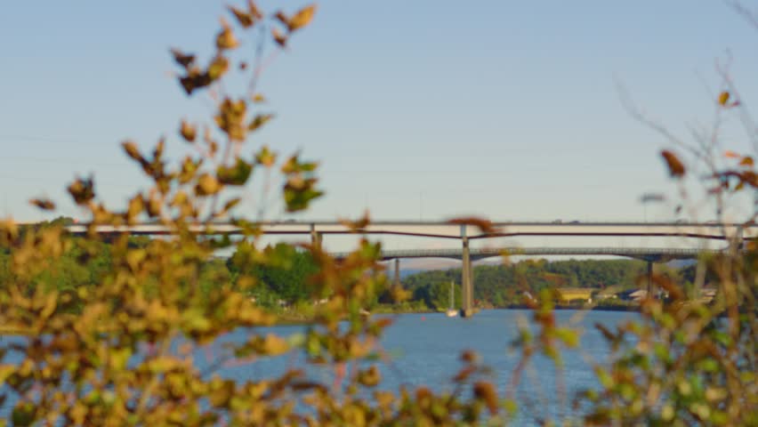 Focus Pull from M4 Motorway Traffic Overpass Bridge to Autumn Fading Leaves on Small Tree on Sunny Day. Filmed Near Swansea, Wales, UK.