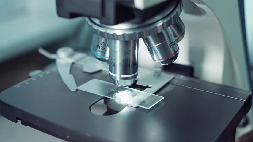 Laboratory technologist examining specimen on microscope slide, concept of scientific research, laboratory analysis, healthcare, medical testing, and microbiology.