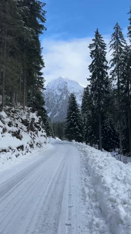 Point of view driving on a scenic, snow covered road through a pine forest in the swiss alps