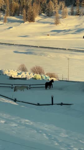 Scenic train journey revealing a stunning winter landscape with mountains, horses, and a village