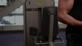 Mid-adult man initiating bicep curl unveiling stock-market charts as partner mirroring movement. Fitness, strength, workout, training, determination, teamwork, professional - Powered by Shutterstock - Get 15% off with code: PIKWIZARD15