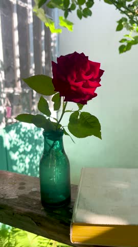Red rose in a green vintage glass bottle on the porch of a house in the sunlight. Next to it lies an open book. Cozy summer morning vibe.