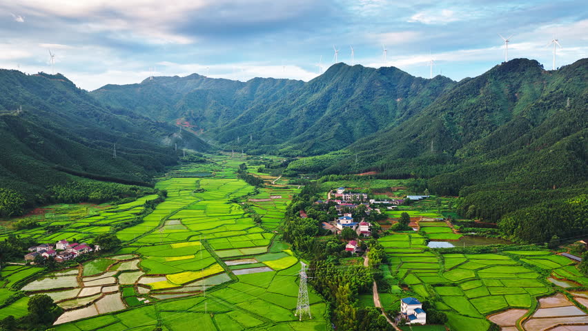 Aerial shot of a rural village surrounded by green rice paddy fields and mountains with wind turbines in China