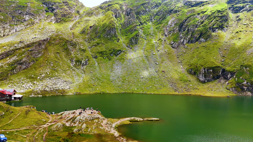 People stand on the rock over the mountain lake with green water. Flock of sheep walk by the rocks at backdrop. Stunning Romania.