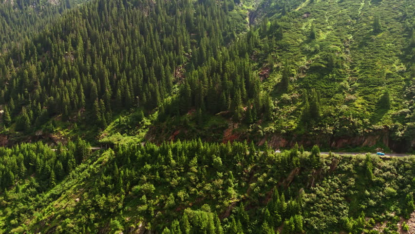 Huge green rocks covered with grass and pine trees. A highway passes the slope of the mountain. Romania wilderness.