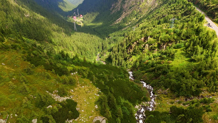 Narrow mountain river flows in the gulch among the pine tree woods. Drone footage over the beautiful rocks in Romania.
