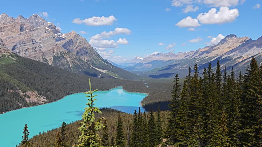 Peyto Lake, Fox Head Lake,glacial lake in Banff National Park, Canadian Rockies, Alberta, Canada, turquoise color caused by rock flour, fine particles of glacial silt, flowing into the water in summer