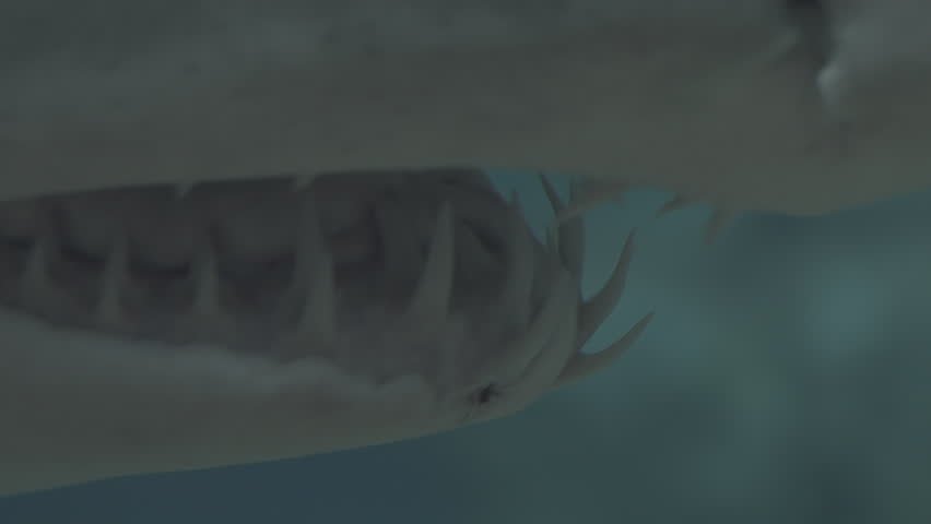 Close up the teeth of a shark underwater.