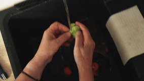 Hands are shown rinsing fresh vegetables under running water in a kitchen sink. - Powered by Shutterstock - Get 15% off with code: PIKWIZARD15
