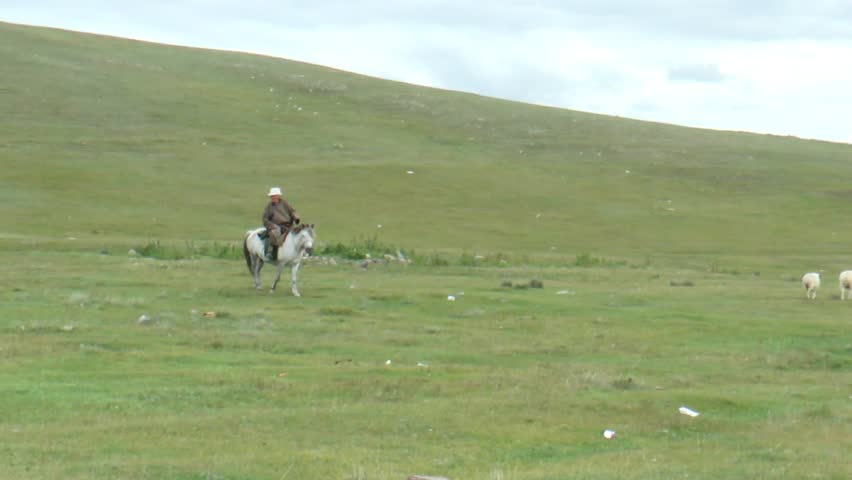 MONGOLIA, SELENGE - September 5, 2013: A shepherd on a horse tends sheep near the Buddhist monastery of Amarbayasgalant on a cloudy autumn day.