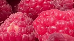 video raspberry close-up. raspberries. berry fruit - Powered by Shutterstock - Get 15% off with code: PIKWIZARD15