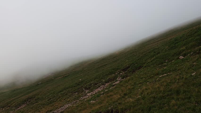 Misty white fog gradually enveloping verdant mountainside during overcast conditions, revealing atmospheric landscape