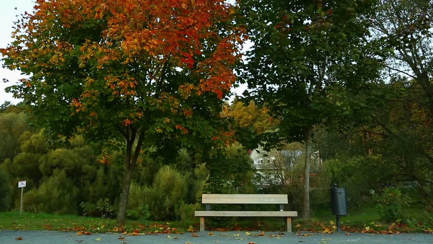 Bench in autumn beautiful park in orange bright colors under the trees at the path way