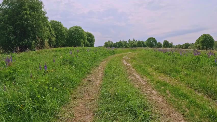 Serene countryside path through lush green fields under cloudy skies