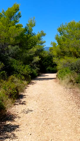 A bright, sunny shot of a gravel path winding through lush green pine and scrub trees under a clear blue sky