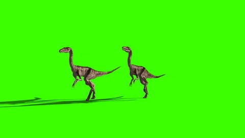 two dinosaurs on a green screen. different perspectives. sequence. 