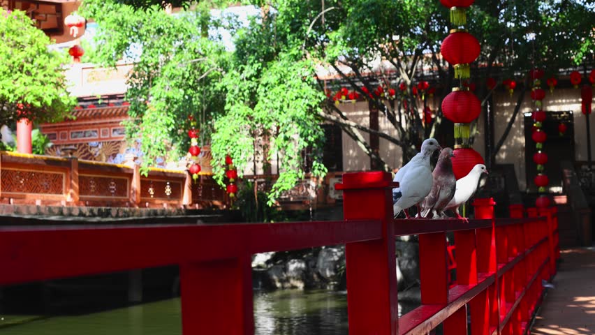 Serenity scene with pigeons on vibrant red bridge in peaceful asian garden setting