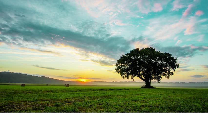 a scenic landscape featuring a lone tree in a field at sunset. the sky is filled with beautiful clouds, and the sun casts a warm glow over the meadow. enjoy the view!