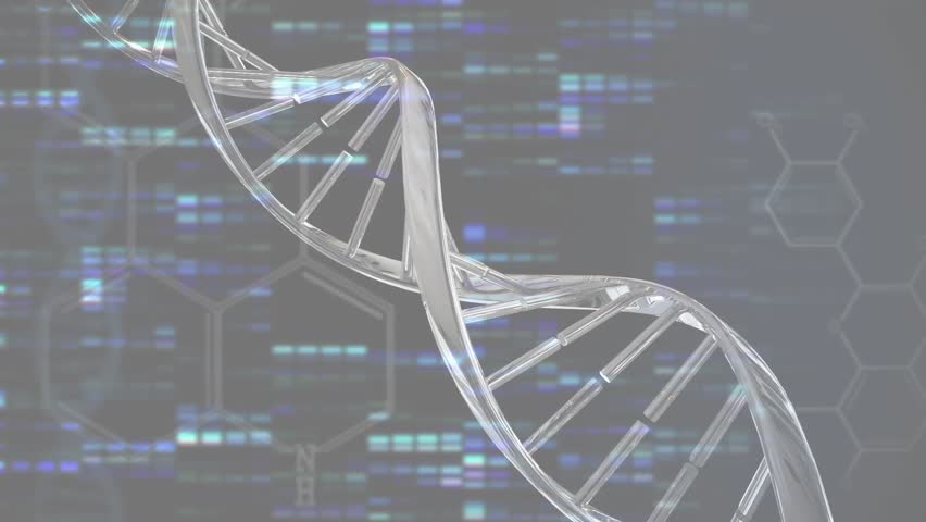 On startup DNA helix rotating in hex grid and pulsing light while visualizing sequencing code. Futuristic, scientific, technology, digital, molecular, innovation, bioinformatics - Powered by Shutterstock - Get 15% off with code: PIKWIZARD15