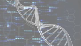 On startup DNA helix rotating in hex grid and pulsing light while visualizing sequencing code. Futuristic, scientific, technology, digital, molecular, innovation, bioinformatics - Powered by Shutterstock - Get 15% off with code: PIKWIZARD15