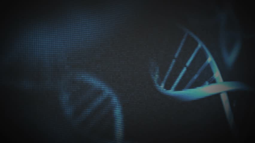 DNA helix drifting human hand launching data sphere morphing into rotating 3D brain for analysis. Futuristic, biotechnology, digital, innovation, holography, science, neuroscience - Powered by Shutterstock - Get 15% off with code: PIKWIZARD15