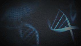 DNA helix drifting human hand launching data sphere morphing into rotating 3D brain for analysis. Futuristic, biotechnology, digital, innovation, holography, science, neuroscience - Powered by Shutterstock - Get 15% off with code: PIKWIZARD15