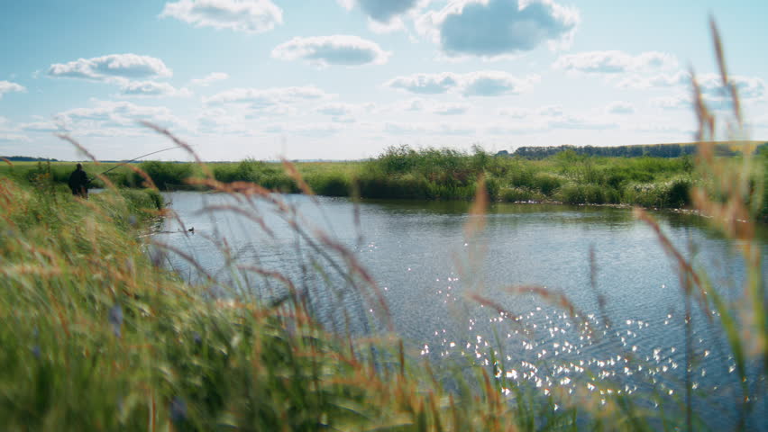 Summer lake pond view daytime with grass and blue sky