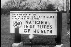 1950s - The National Institute of Health researches polio in 1956.