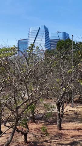 Parque Do Povo At Sao Paulo In Brazil. Nature Park Landscape. Downtown City Scenery. Highrise Buildings. Parque Do Povo At Sao Paulo In Brazil. Financial District. Sao Paulo Brazil.