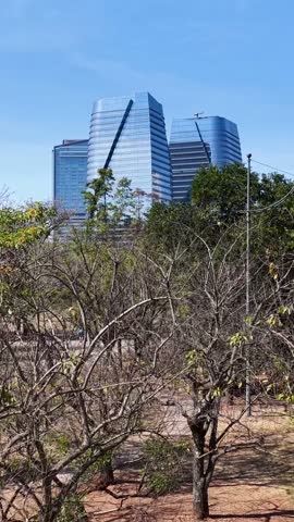 Parque Do Povo At Sao Paulo In Brazil. Nature Park Landscape. Downtown City Scenery. Highrise Buildings. Parque Do Povo At Sao Paulo In Brazil. Financial District. Sao Paulo Brazil.
