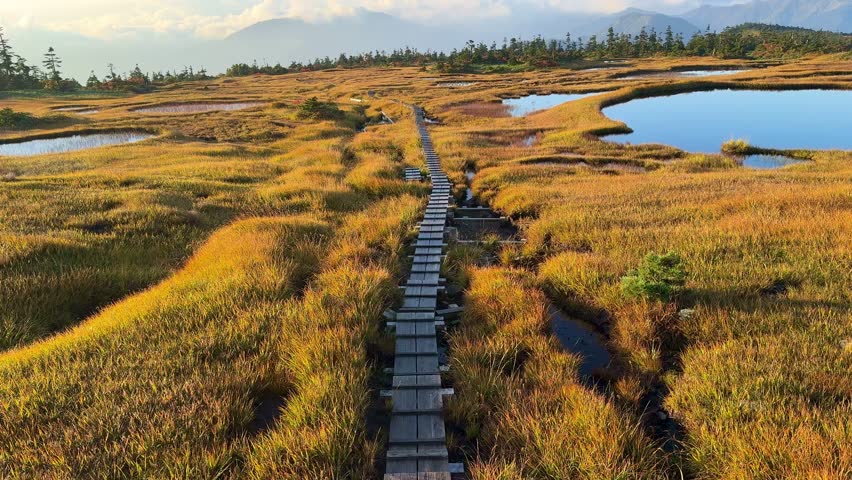 Autumn Wetlands and Wooden Path at Naeba Mountain, Echigo Yuzawa, Niigata, Japan with Scenic Pond and Fall Colors
