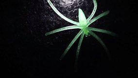 A close-up of a fluorescent green spider on a web with a white light on a black background - Powered by Shutterstock - Get 15% off with code: PIKWIZARD15