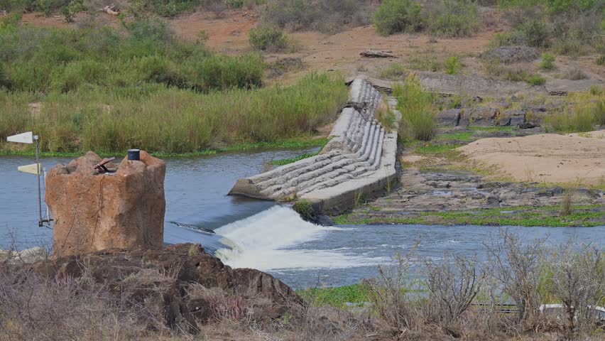 Landscape - Flora Botany Bush in Kruger Nationalpark