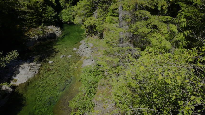 Small river in Vancouver island forest