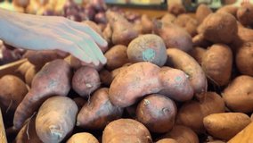 Close-up of a hand picking through a pile of freshly harvested potatoes at a farmers market, with earthy skins and natural imperfections, showcasing local produce, healthy eating, and farm-to-table sh - Powered by Shutterstock - Get 15% off with code: PIKWIZARD15