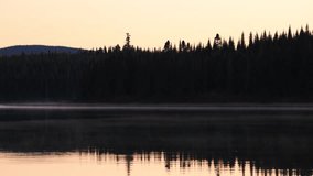 Mist over the lake at sunrise in the morning in the forest - Powered by Shutterstock - Get 15% off with code: PIKWIZARD15