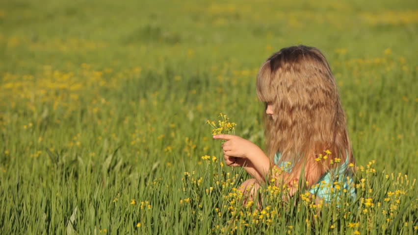 Lovely kid sitting in field and picking flowers
