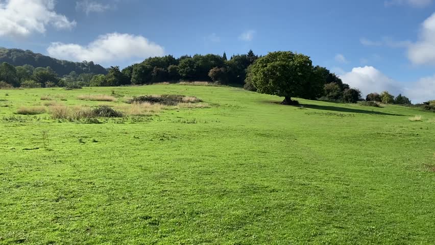 Wide Autumn Countryside Field with Trees and Blue Sky
