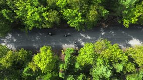 Top View A Couple Cycles Through A Hidden Gravel Road With Scenic Trees, Misty Hills, And Calm Waters. Drone Captures The Serenity Of A Cool Summer Day In Canadian Wilderness. - Powered by Shutterstock - Get 15% off with code: PIKWIZARD15