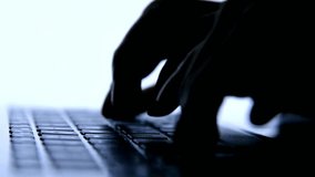 Hands type swiftly on a laptop's backlit keyboard, silhouetted against a bright white backdrop and illuminated by cool blue light. - Powered by Shutterstock - Get 15% off with code: PIKWIZARD15