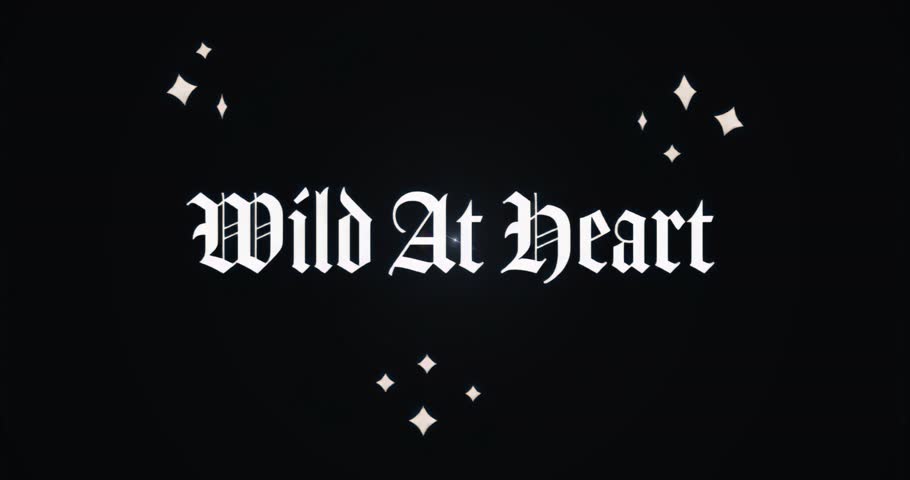 Lens flare entering frame moving across Wild At Heart text highlighting text sparkles shining. Mystery, elegance, enchantment, cinematic, glamour, abstraction, allure