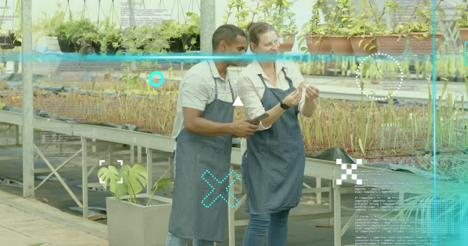 Tapping tablet and pointing at hanging pots, greenhouse coworkers planning seedling placement. Horticulture, sustainability, growth, collaboration, modern, eco-friendly, professional