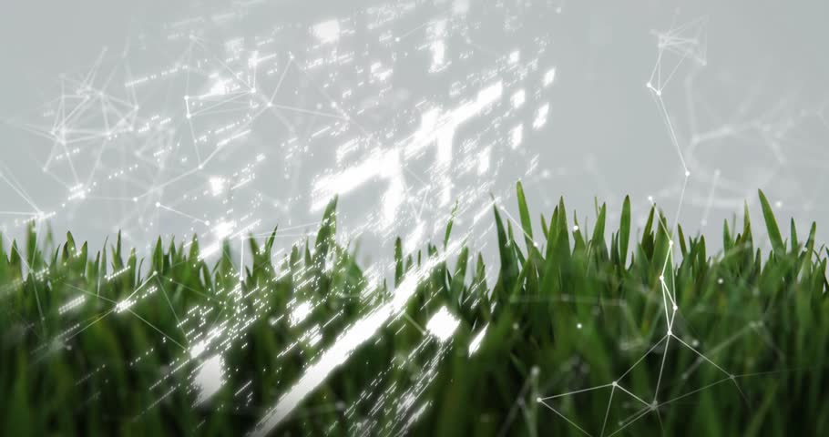 Glitching streaks above grass forming shield icon with padlock, network nodes representing security. Cybersecurity, digital, technology, protection, innovation, data, security