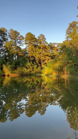 Amazing nature view with a reflection of trees on a lake, Texas state park, Houston