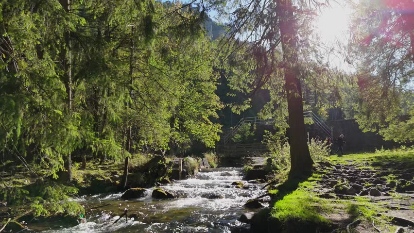 A mountain river or stream of cool, clear, pure water flows among rocks and mountains in the mountains among grassy meadows and trees. High quality 4k footage