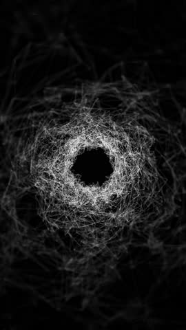 This striking image features a complex, web-like structure in shades of gray against a black background, creating a sense of depth and mystery.