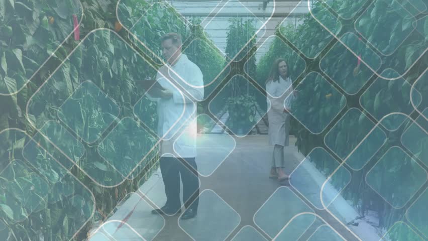 Researchers entering greenhouse scanning foliage, making animated chart tracking crop health. Botany, horticulture, agriculture, crop research, experimental, innovation, sustainable