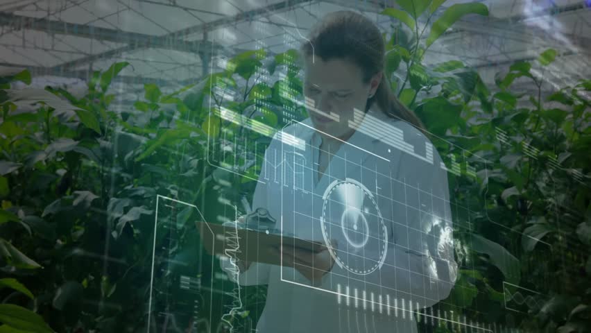 Researcher tapping tablet inside greenhouse, updating holographic data charts for crop monitoring. Agriculture, technology, innovation, sustainability, precision, environment, visualization - Powered by Shutterstock - Get 15% off with code: PIKWIZARD15